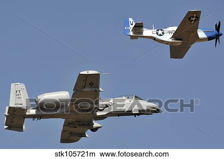 An A-10 Thunderbolt and a P-51 Mustang perform a heritage flight. View Large Photo Image Picture - An A-10 Thunderbolt and a P-51 Mustang perform a heritage flight.. Fotosearch