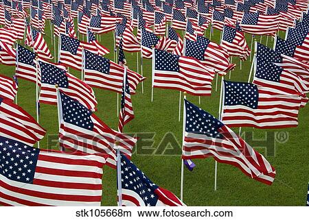 An abundance of American Flags. View Large Photo Image Picture - An abundance of American Flags.. Fotosearch