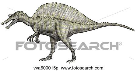 An albino Spinosaurus. View Large Illustration Stock Illustration - An albino Spinosaurus.. Fotosearch