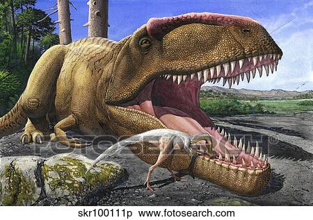 An Alvarezsaurid bird cleans the mouth of a Giganotosaurus carolinii dinosaur. View Large Illustration Stock Illustration - An Alvarezsaurid bird cleans the mouth of a Giganotosaurus carolinii dinosaur.. Fotosearch