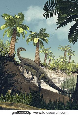 An Anchisaurus polyzelus climbs the slope of a dry riverbed. View Large Illustration Stock Illustration - An Anchisaurus polyzelus climbs the slope of a dry riverbed.. Fotosearch