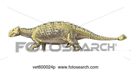 Stock Illustration - An Ankylosaurus dinosaur with full skeleton superimposed.. Fotosearch