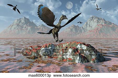 An Archaeopteryx landing on a rock during the Jurassic Period. View Large Illustration Stock Illustration - An Archaeopteryx landing on a rock during the Jurassic Period.. Fotosearch