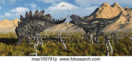 An armor plated Stegosaurus defending itself from an attacking Allosaurus. View Large Illustration Stock Illustration - An armor plated Stegosaurus defending itself from an attacking Allosaurus.. Fotosearch