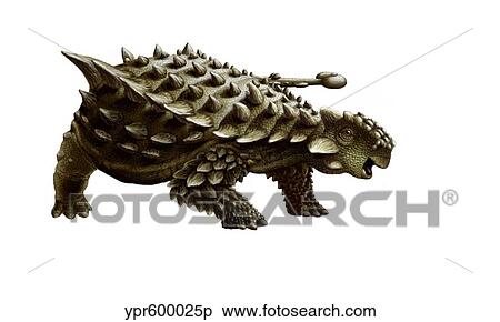 Stock Illustration - An armored Saichania ankylosaurid, white background.. Fotosearch