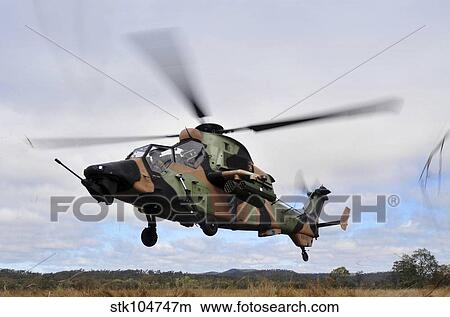 An Australian Army Tiger helicopter flies a reconnaissance mission. View Large Photo Image Picture - An Australian Army Tiger helicopter flies a reconnaissance mission.. Fotosearch