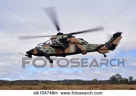Picture - An Australian Army Tiger helicopter flies a reconnaissance mission.. Fotosearch