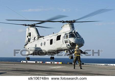 Picture - An aviation boatswain's mate directs a CH-46E Sea Knight.. Fotosearch