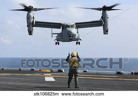 An aviation boatswain's mate directs the landing of an MV-22 Osprey. View Large Photo Image Picture - An aviation boatswain's mate directs the landing of an MV-22 Osprey.. Fotosearch