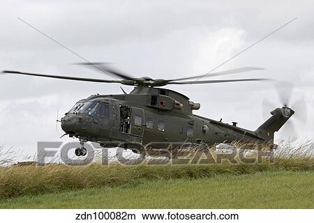 Picture - An AW101 Merlin helicopter of the Royal Air Force lands in a field.. Fotosearch