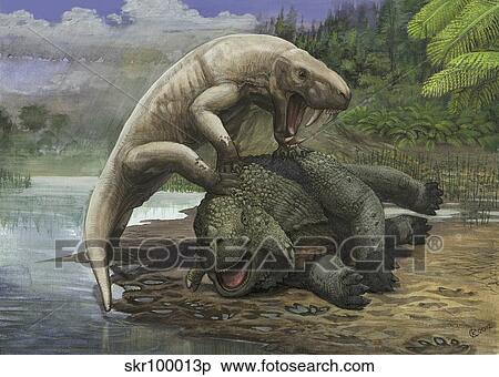 An Inostrancevia attacks a Scutosaurus. View Large Illustration Stock Illustration - An Inostrancevia attacks a Scutosaurus.. Fotosearch