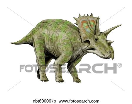 Anchiceratops dinosaur. View Large Illustration Stock Illustration - Anchiceratops dinosaur.. Fotosearch