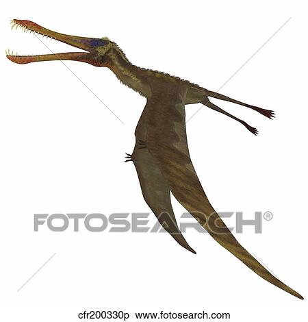 Anhanguera dinosaur. View Large Illustration Stock Illustration - Anhanguera dinosaur.. Fotosearch