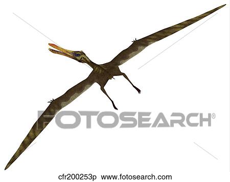 Stock Illustration - Anhanguera was a fish-eating pterosaur from the Cretaceous era of Brazil.. Fotosearch