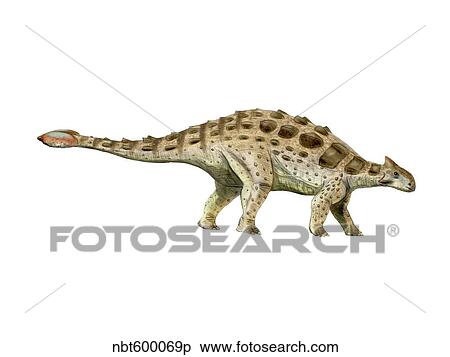 Ankylosaurus armored dinosaur. View Large Illustration Stock Illustration - Ankylosaurus armored dinosaur.. Fotosearch