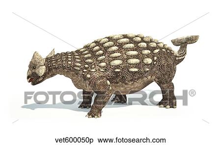Stock Illustration - Ankylosaurus dinosaur on white background.. Fotosearch