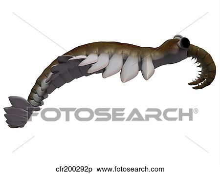 Anomalocaris from the Cambrian period of the Paleozoic Era. View Large Illustration Stock Illustration - Anomalocaris from the Cambrian period of the Paleozoic Era.. Fotosearch
