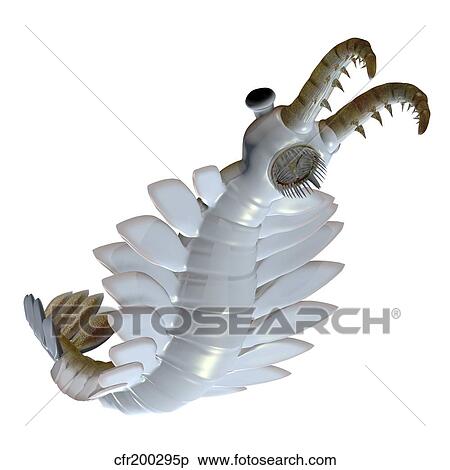 Stock Illustration - Anomalocaris from the Cambrian period of the Paleozoic Era.. Fotosearch