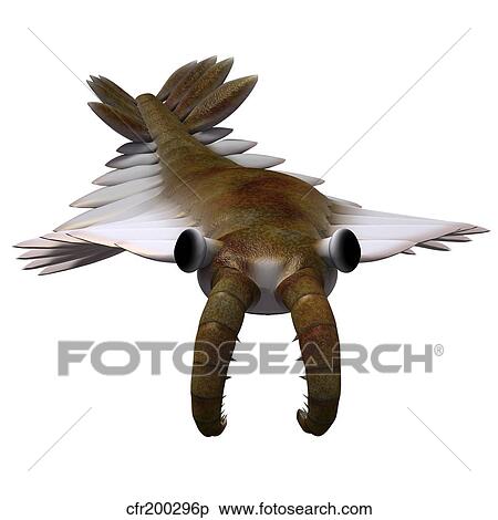 Stock Illustration - Anomalocaris from the Cambrian period of the Paleozoic Era.. Fotosearch