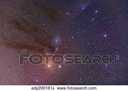 Antares and Scorpius Head area with Rho Ophiuchi nebulosity. View Large Photo Image Stock Photograph - Antares and Scorpius Head area with Rho Ophiuchi nebulosity.. Fotosearch