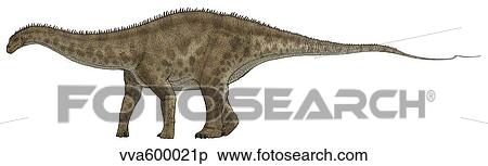 Apatosaurus, a sauropod dinosaur also known as Brontosaurus. View Large Illustration Stock Illustration - Apatosaurus, a sauropod dinosaur also known as Brontosaurus.. Fotosearch