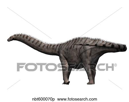 Apatosaurus dinosaur. View Large Illustration Stock Illustration - Apatosaurus dinosaur.. Fotosearch