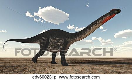 Apatosaurus dinosaur walking in the desert. View Large Illustration Stock Illustration - Apatosaurus dinosaur walking in the desert.. Fotosearch