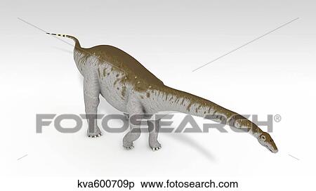 Apatosaurus dinosaur, white background. View Large Illustration Stock Illustration - Apatosaurus dinosaur, white background.. Fotosearch