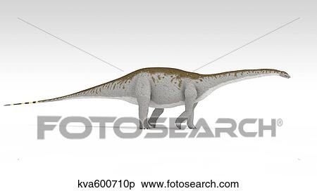 Stock Illustration - Apatosaurus dinosaur, white background.. Fotosearch