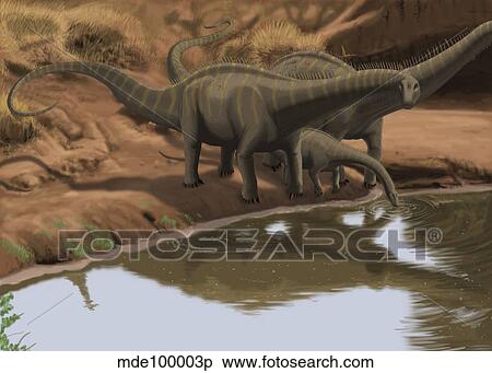 Stock Illustration - Apatosaurus dinosaurs drinking water at the edge of a lake.. Fotosearch
