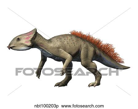 Aquilops is a ceratopsiam from the Early Cretaceous period. View Large Illustration Stock Illustration - Aquilops is a ceratopsiam from the Early Cretaceous period.. Fotosearch