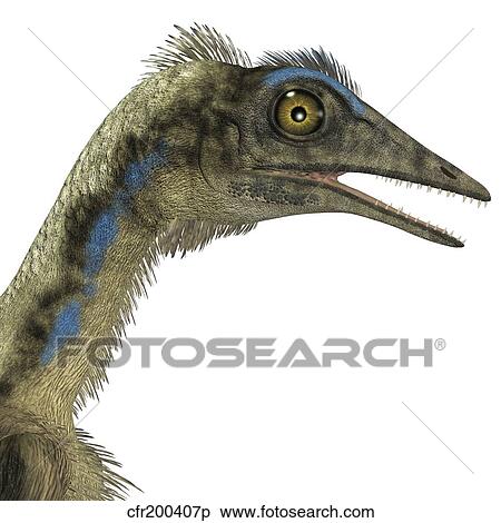 Archaeopteryx Est A Carnivore Oiseau Cela Lived Pendant Les Jurassique Period Banque Dillustrations