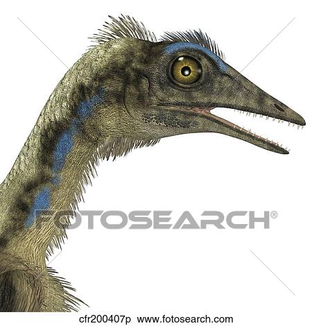 Archaeopteryx is a carnivorous bird that lived during the Jurassic period. View Large Illustration Stock Illustration - Archaeopteryx is a carnivorous bird that lived during the Jurassic period.. Fotosearch
