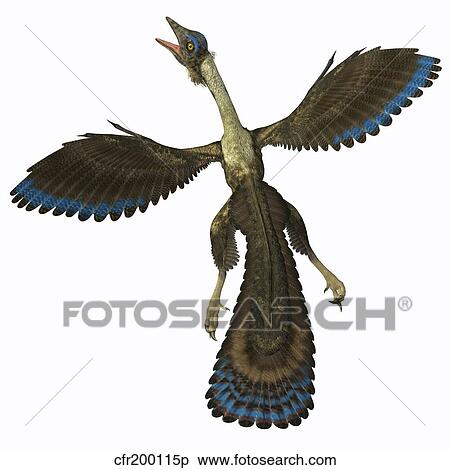 Stock Illustration - Archaeopteryx, known as one of the earliest prehistoric birds.. Fotosearch