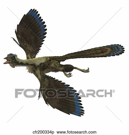 Archaeopteryx prehistoric bird. View Large Illustration Stock Illustration - Archaeopteryx prehistoric bird.. Fotosearch