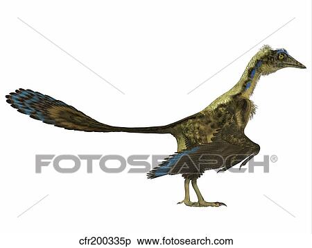 Archaeopteryx prehistoric bird. View Large Illustration Stock Illustration - Archaeopteryx prehistoric bird.. Fotosearch