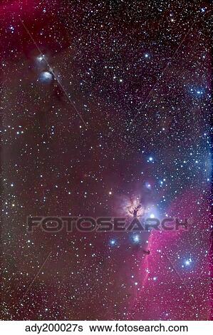 Area around the Belt of Orion, with the Horsehead and Flame Nebula. View Large Photo Image Stock Photograph - Area around the Belt of Orion, with the Horsehead and Flame Nebula.. Fotosearch