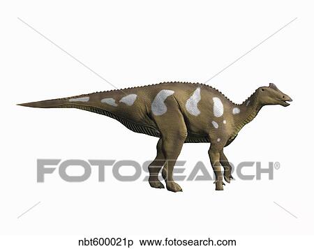 Arenysaurus ardevoli, Late Cretaceous of Spain. View Large Illustration Stock Illustration - Arenysaurus ardevoli, Late Cretaceous of Spain.. Fotosearch