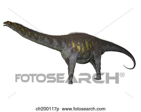 Argentinosaurus, a titanosaur from the Cretaceous period. View Large Illustration Stock Illustration - Argentinosaurus, a titanosaur from the Cretaceous period.. Fotosearch