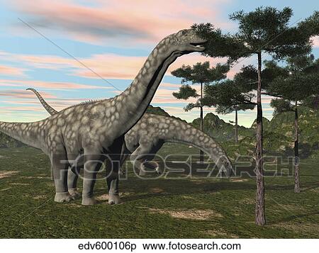 Argentinosaurus dinosaur grazing on treetops. View Large Illustration Stock Illustration - Argentinosaurus dinosaur grazing on treetops.. Fotosearch