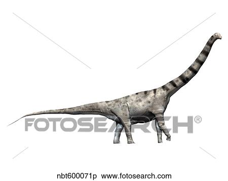 Stock Illustration - Argentinosaurus dinosaur.. Fotosearch