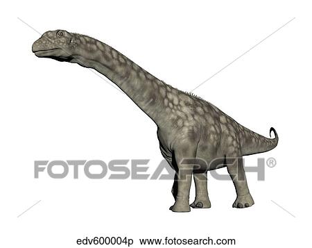 Stock Illustration - Argentinosaurus dinosaur, white background.. Fotosearch