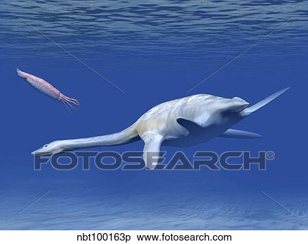 Aristonectes plesiosaur attempts to make a meal of a squid-like cephalopod View Large Illustration Stock Illustration - Aristonectes plesiosaur attempts to make a meal of a squid-like cephalopod. Fotosearch