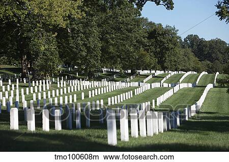 Picture - Arlington National Cemetery, Arlington, Virginia, USA.. Fotosearch
