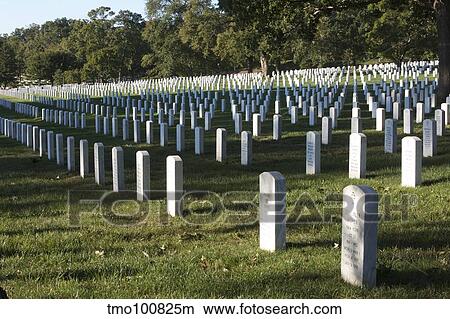 Arlington National Cemetery, Arlington, Virginia, USA. View Large Photo Image Picture - Arlington National Cemetery, Arlington, Virginia, USA.. Fotosearch
