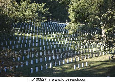 Arlington National Cemetery, Arlington, Virginia, USA. View Large Photo Image Picture - Arlington National Cemetery, Arlington, Virginia, USA.. Fotosearch