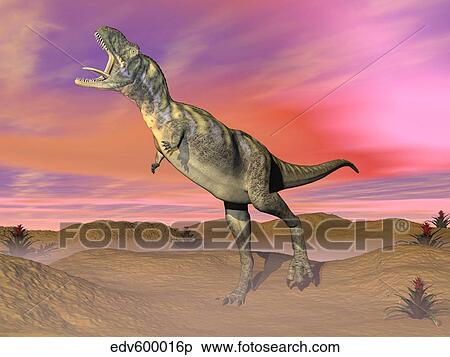 Stock Illustration - Aucasaurus dinosaur roaring in the desert by sunset.. Fotosearch