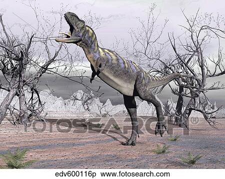 Stock Illustration - Aucasaurus dinosaur roaring in the desert.. Fotosearch
