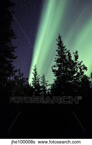 Aurora borealis above the trees, Northwest Territories, Canada. View Large Photo Image Stock Photograph - Aurora borealis above the trees, Northwest Territories, Canada.. Fotosearch