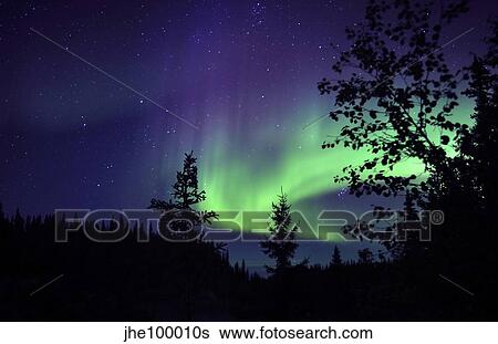 Aurora borealis above the trees, Northwest Territories, Canada. View Large Photo Image Stock Photograph - Aurora borealis above the trees, Northwest Territories, Canada.. Fotosearch